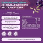 Suplementos para Homens 655 MG | Suporte ao Sistema Imunológico e Metabolismo | Suplementos pre Treino Masculino Academia para Desempenho Físico e Resistência | Desenvolvido na Holanda | 60 Cápsulas (3) - Imagem 2